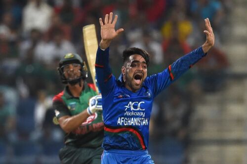 2021 T20 World Cup, Afghanistan SWOT: Eyeing history by prevailing over doom Image