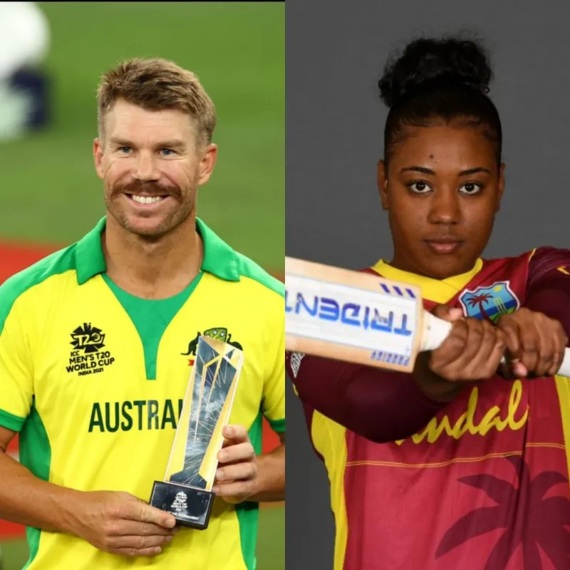 Cricket News, 13 December: Warner, Matthews named as  ICC Players of the Month, more Image